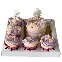 The Perfect Pair (Mini Cake & Cupcakes)