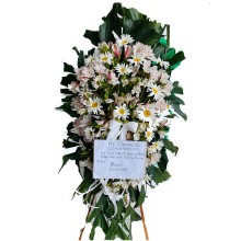 White Asrameria and daisy wreath