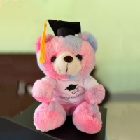 Pink Graduation Teddy Bear with Cap & Congratulations T-Shirt