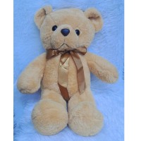 Cute Brown Teddy Bear