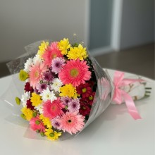 Blushing Blooms