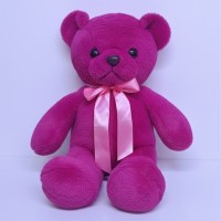 Cute Magenta Teddy Bear Cute Magenta Teddy Bear