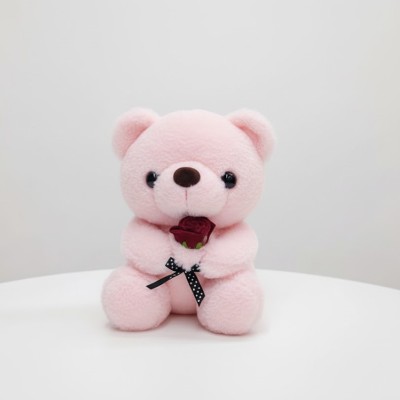 The Hug Buddy Bear-Pink