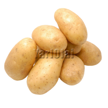 Potato 500g