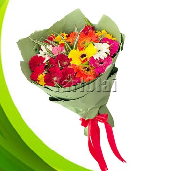 Bouquet of 20 Gerberas