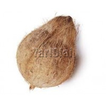 Coconut