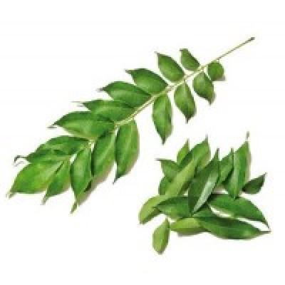 Curry Leaf
