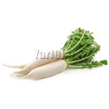 Radish  (முள்ளங்கி) - 500g